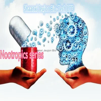 Großhandel Nootropic 99% Phenibut Pramiracetam Phenylpiracetam Alpha GPC Tianeptin Natrium Noopept Nootropika Pulver