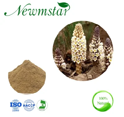 Cistanche Tubulosa 추출물 10:1 Herba Cistanche Extract Desertliving Cistanche 허브 추출물은 성기능을 향상시킵니다.